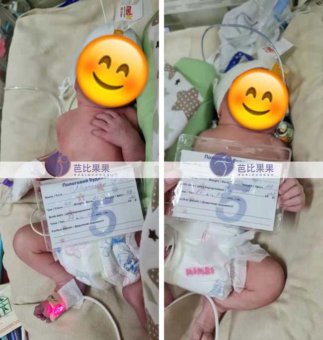 乌克兰试管男双胞胎