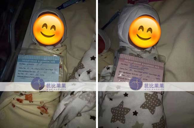乌克兰试管龙凤胎宝宝